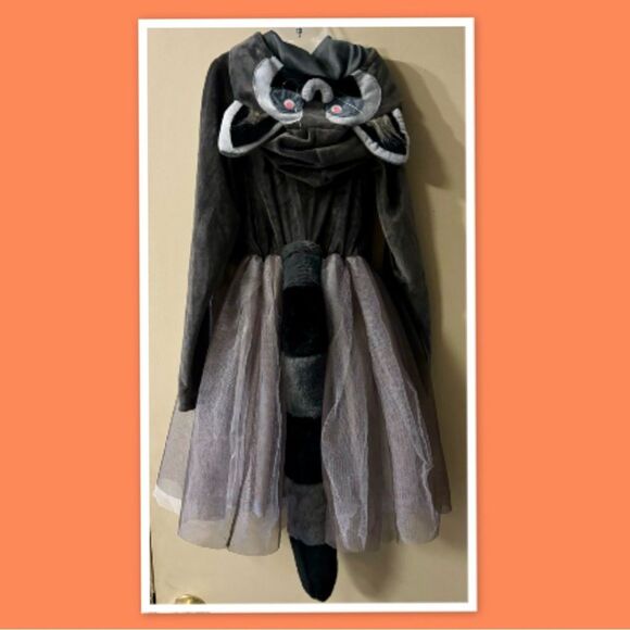 Tutu Raccoon Costume for Girls